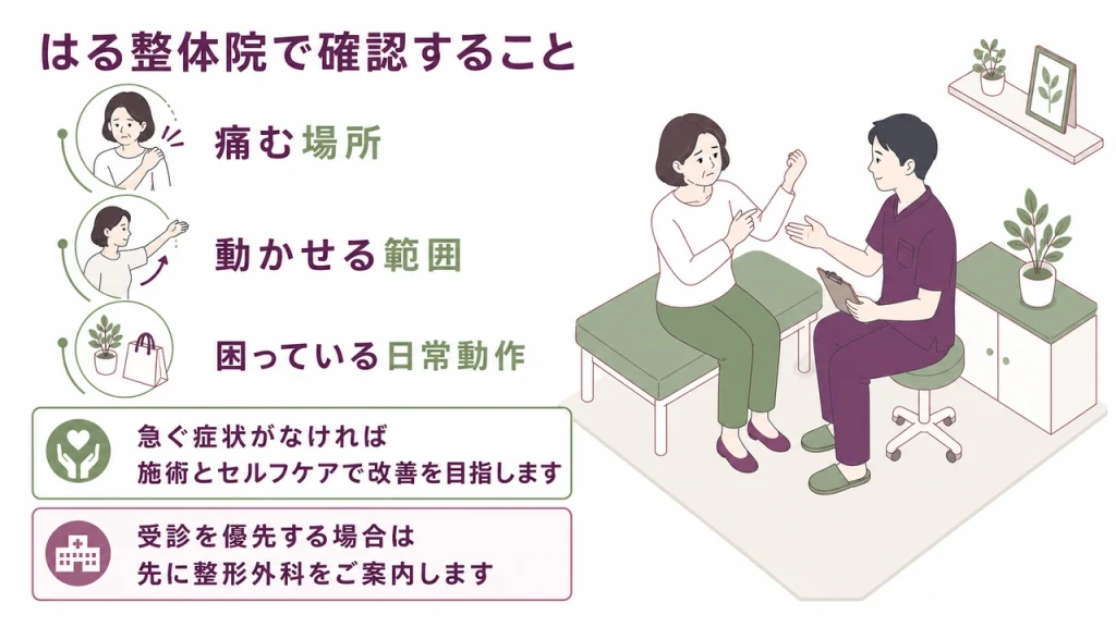 肩の痛む場所や動かせる範囲、困っている日常動作を確認する、はる整体院のサポート内容を示す図解