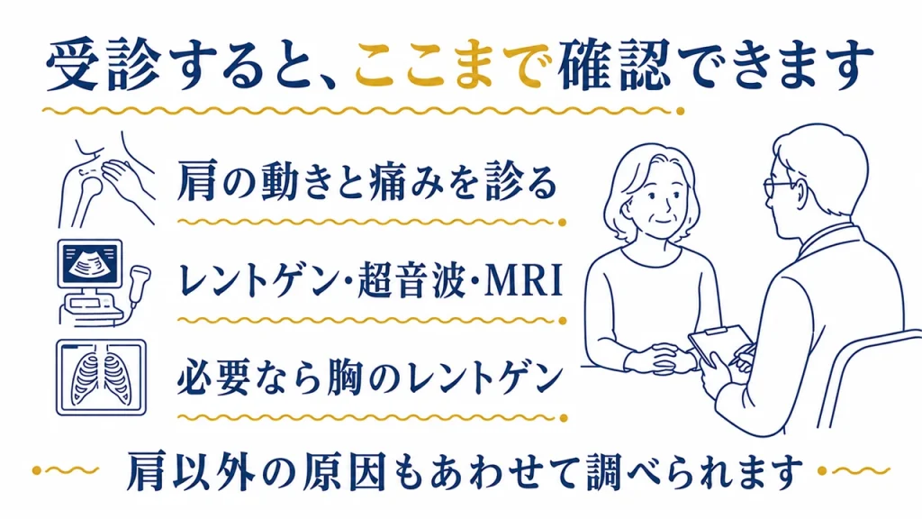 整形外科を受診すると確認してもらえること3つ（肩の動きと痛みを診る／レントゲン・超音波・MRI／必要なら胸のレントゲン）と、医師に相談している女性のイラスト